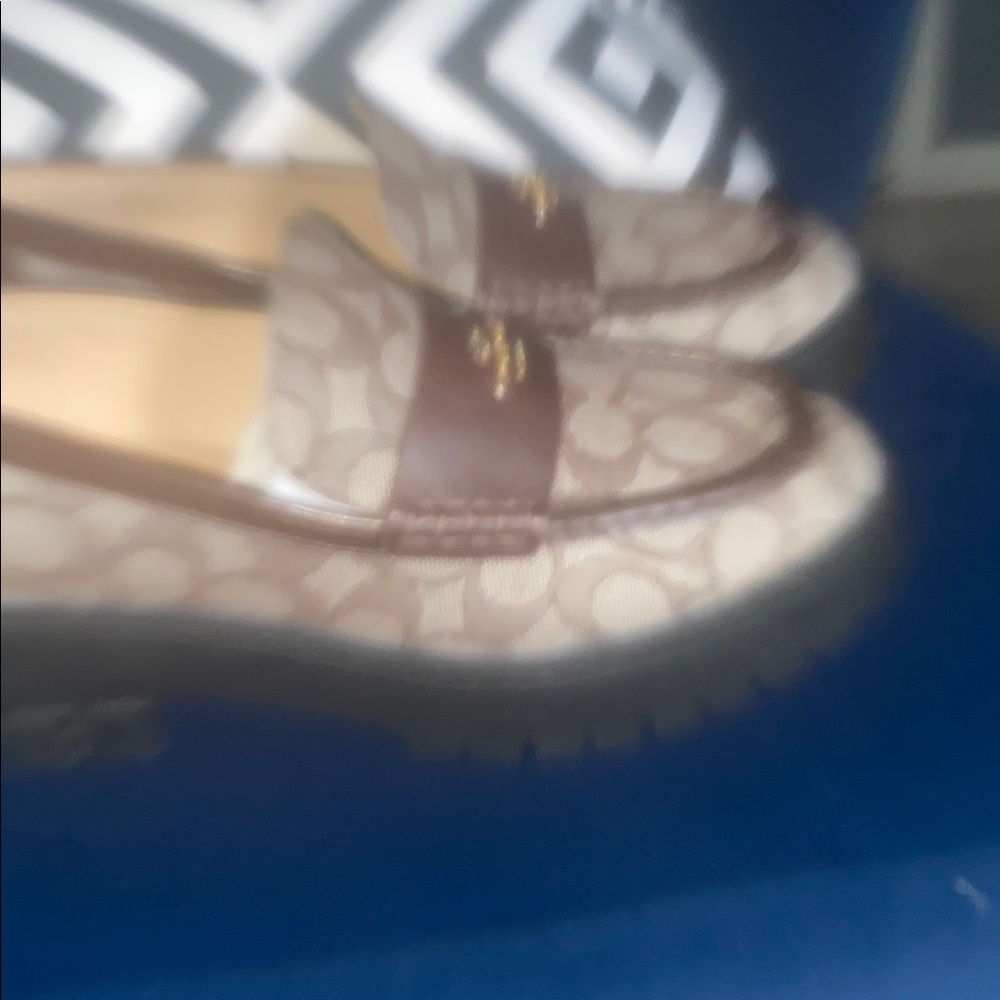 The Sig Loafer